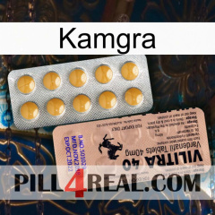 Kamgra 41